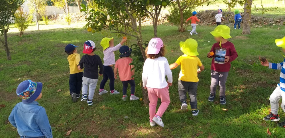 Grupo de crianças a explorar um campo com árvores de fruto.